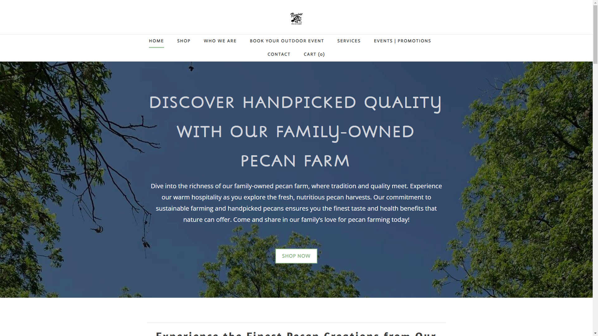 Texas Pecan Farm Website